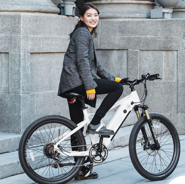 Xe đạp thể thao trợ lực điện Wiibike Chévelo Elffel 40
