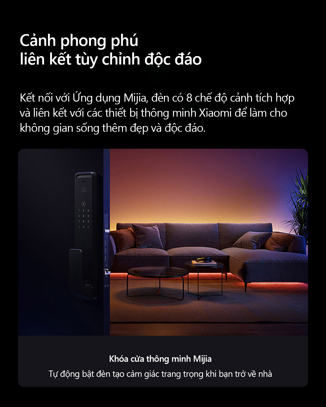 Dây đèn LED RGB thông minh Xiaomi Mijia Ambient Light Strip