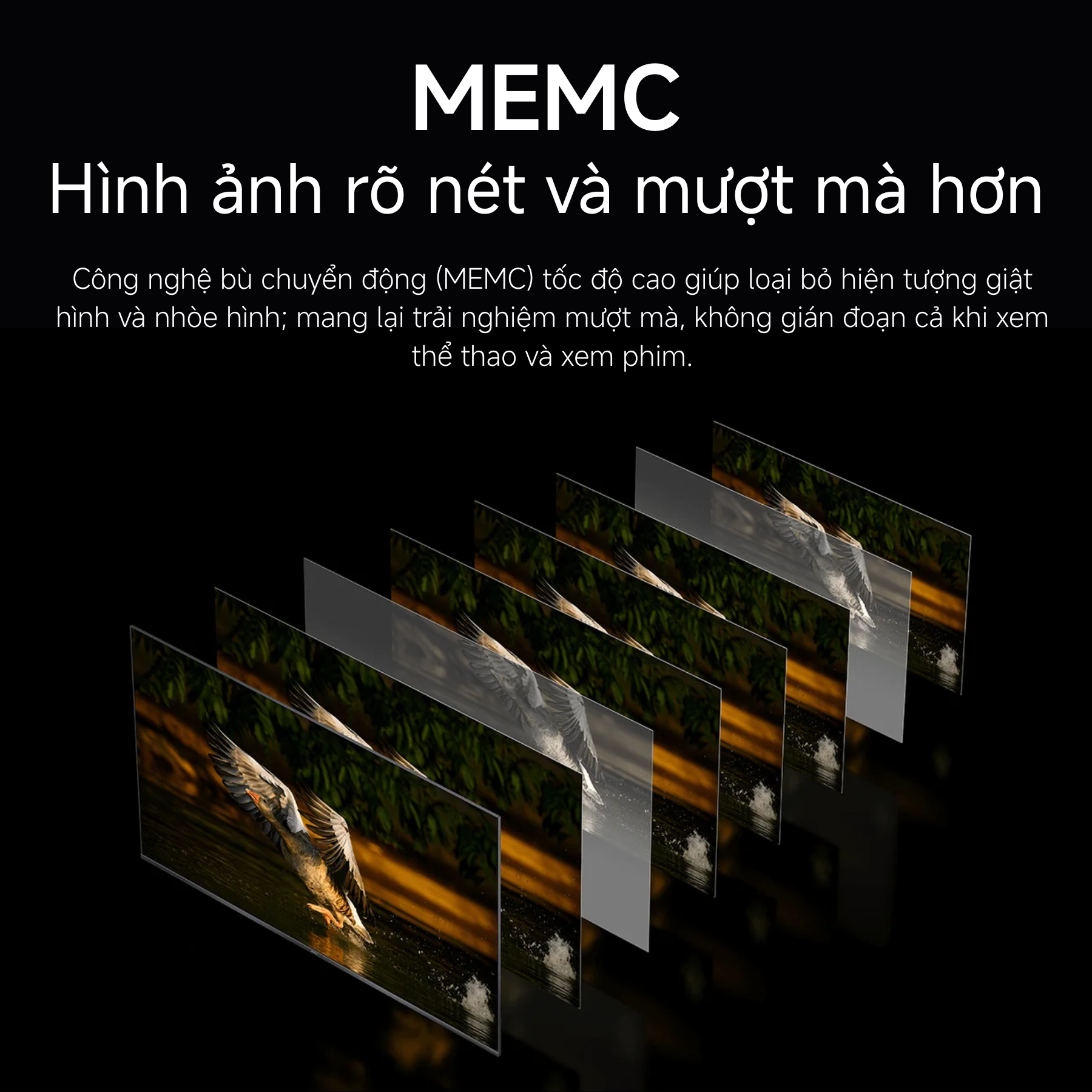 MEMC – Xử lý hình ảnh siêu mượt